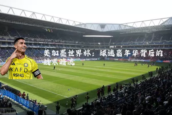 美加墨世界杯:球迷嘉年华背后的战术暗流